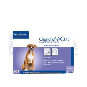Chondroflex 375