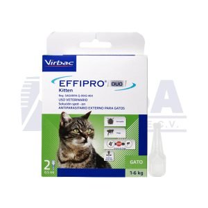 Effipro Duo kitten