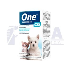One CG - Suspensión