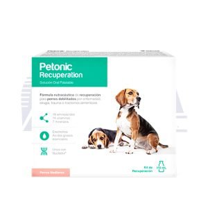 Petonic Recuperation - 110 mL