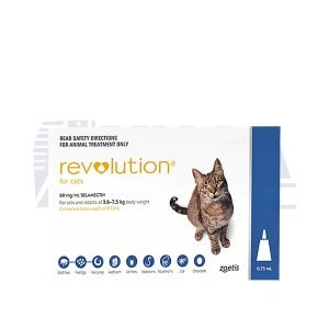 Revolution Para gatos - Azul