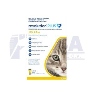 Revolution Plus Para gatos - Amarillo
