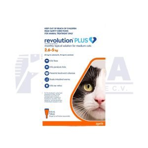 Revolution Plus Para gatos - Naranja