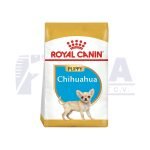 Chihuahua Cachorro