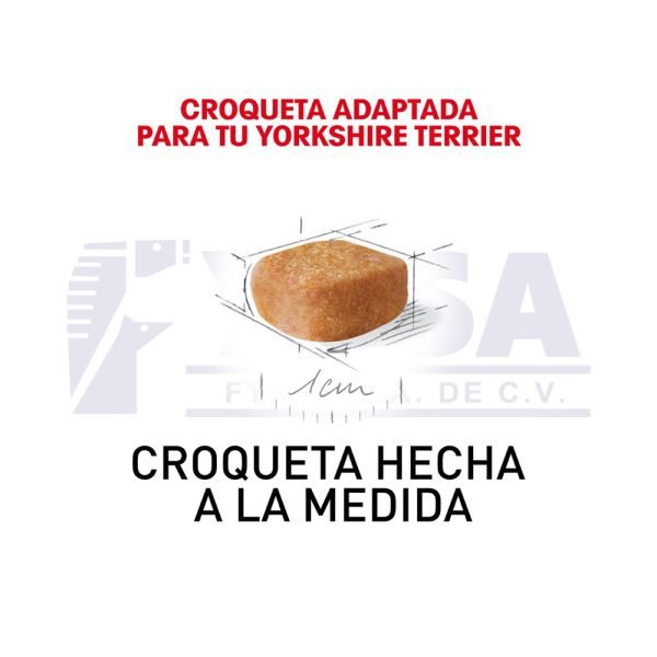 Yorkshire Terrier Cachorro