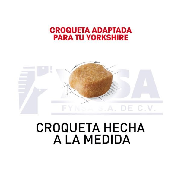 Yorkshire Terrier Adult