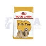 Shih-tzu Adult