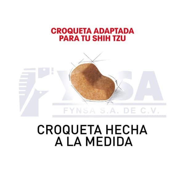 Shih-tzu Adult
