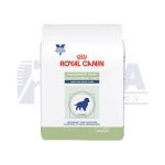 Development Puppy Large Dog