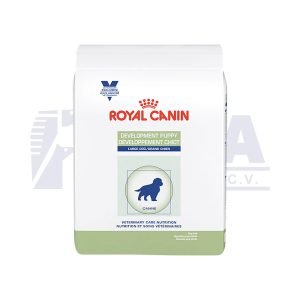 Development Puppy Large Dog