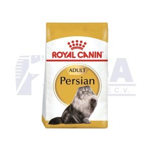 Gato Persa Adulto