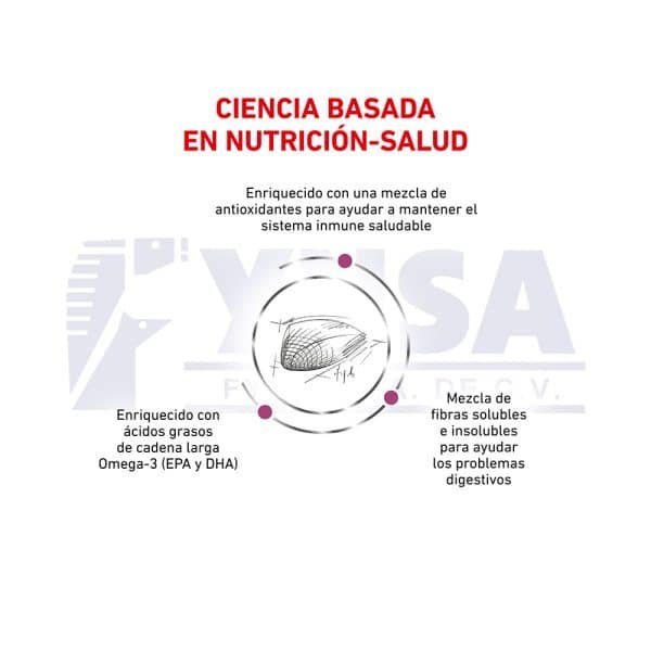 Renal Support F Feline