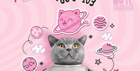 La Nación del Gato 2024