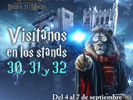 CVDL 2024