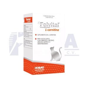 Rx Felvital L-Carnitina