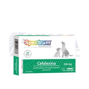 Rx Spectrum Cefalexina