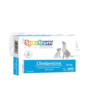 Rx Spectrum Clindamicina