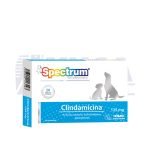 Rx Spectrum Clindamicina