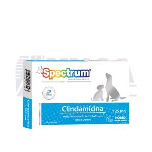 Rx Spectrum Clindamicina