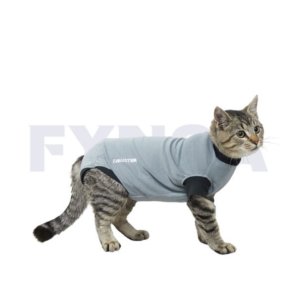 Body EasyGo BUSTER para gato