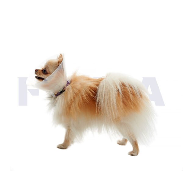 Collar isabelino BUSTER para perros braquicéfalos