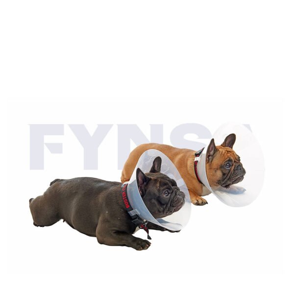 Collares isabelinos BUSTER para perros braquicéfalos