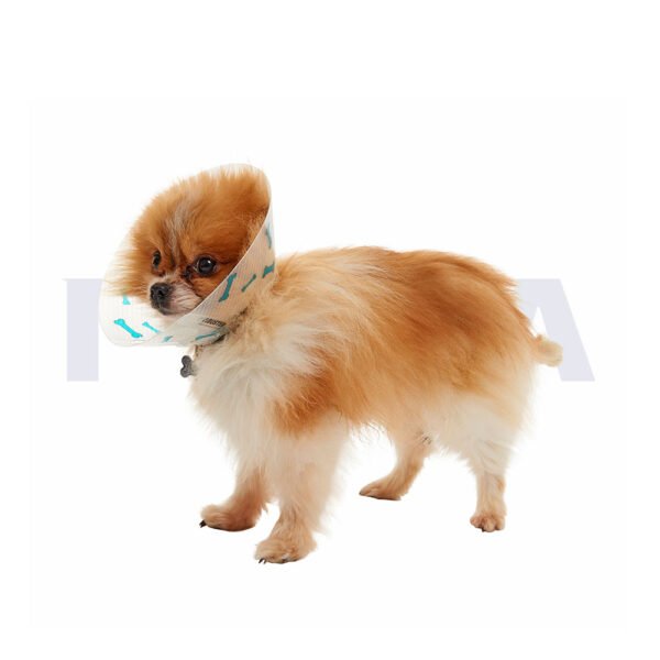 Collar isabelino BUSTER con huesos