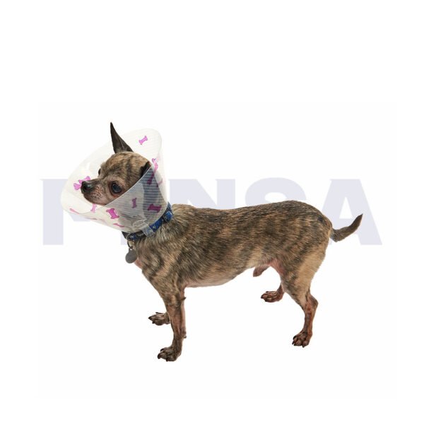 Collar isabelino BUSTER con huesos