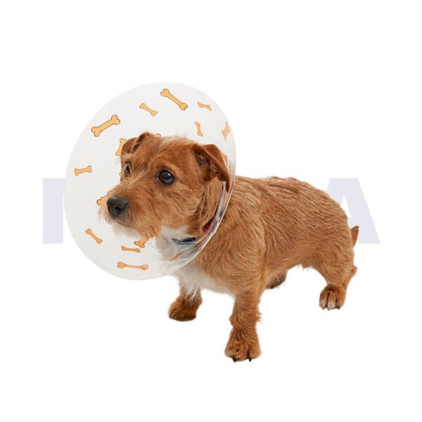 Collar isabelino BUSTER con huesos