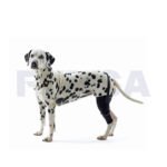 Protector para rehabilitación de rodilla izquierda