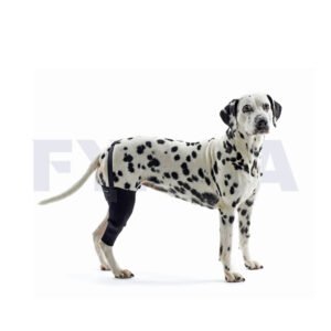 Protector para rehabilitación de rodilla derecha