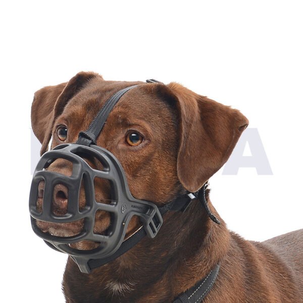 Bozal para perros BUSTER Extreme