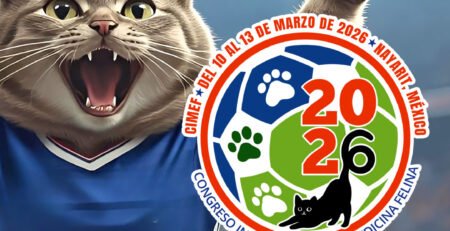 Congreso Internacional de Medicina Felina 2026