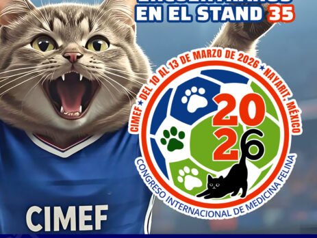 Congreso Internacional de Medicina Felina 2026